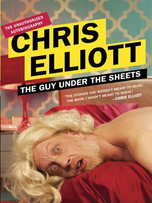 cover image of The Guy Under the Sheets